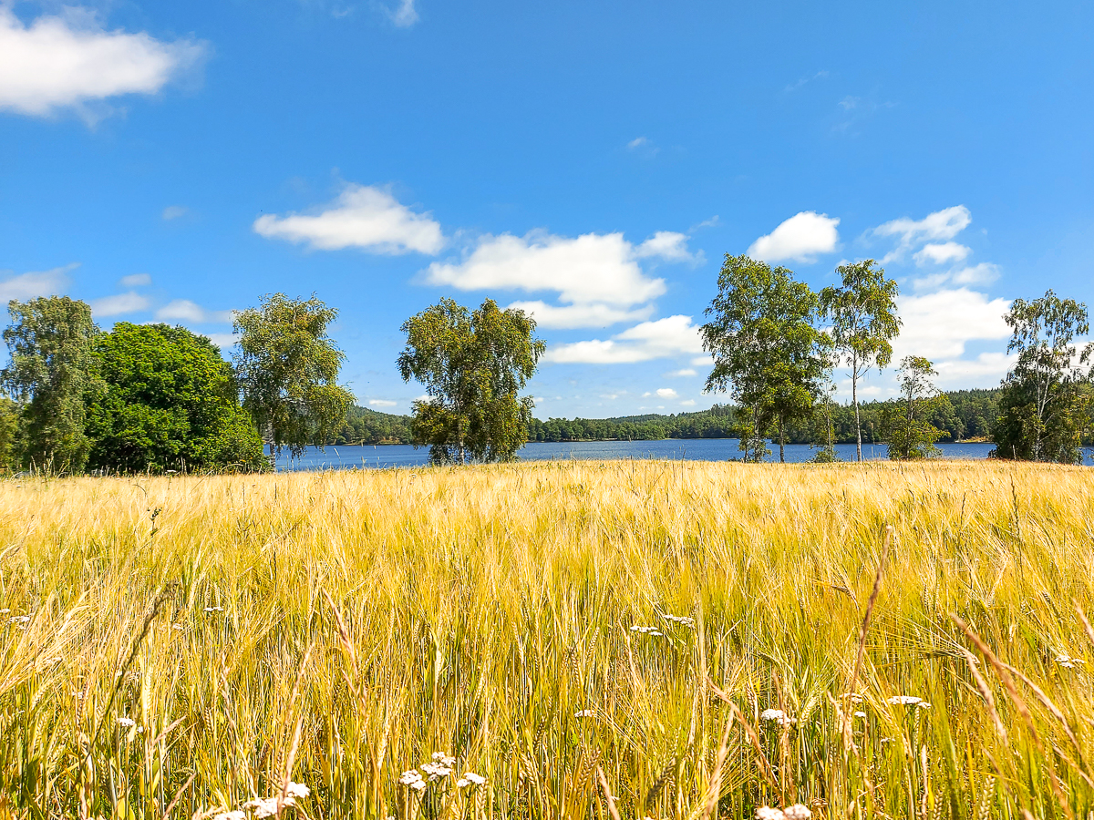 Wandern im Naturpark