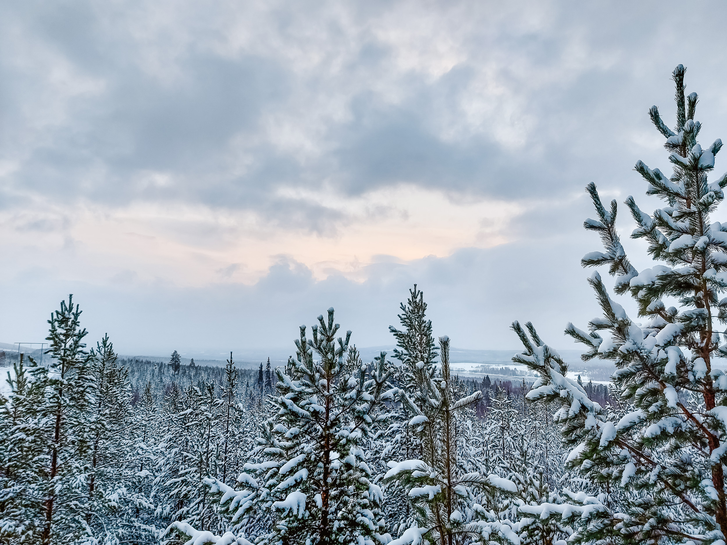 Tiefer Winter am Polarkreis